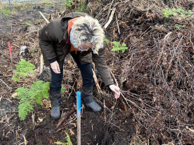 Gemeinsam für ein sauberes & grünes Rostock!